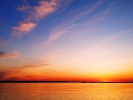 IMG_20200516_105314.jpg