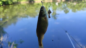 IMG_20260610_101244.jpg