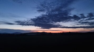 20260609_041433.jpg