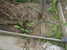 DSCF3220.JPG