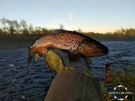 IMG_20190621_023308.jpg