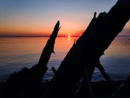 IMG_20200522_205315.jpg