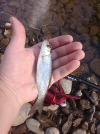 IMG_20260614_173758_204.jpg