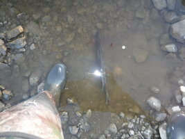 DSCF3248.JPG