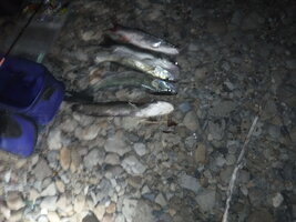 DSCF3255.JPG