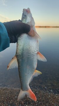 IMG_20260615_052356_684.jpg
