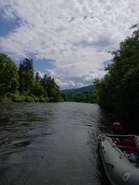 IMG_20260612_120222.jpg