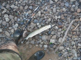 DSCF3258.JPG