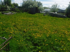 DSCF3245.JPG