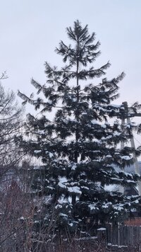 20221127_170903.jpg