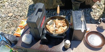 IMG_20260615_135746_800.jpg