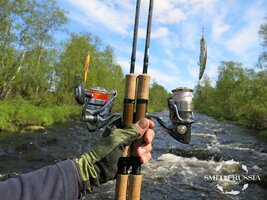IMG_8334.JPG
