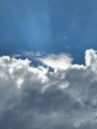 IMG_20260616_200444_407.jpg