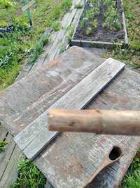 IMG_20260617_183809.jpg