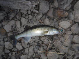 DSCF3278.JPG