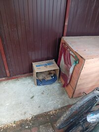 IMG_20260618_101601.jpg