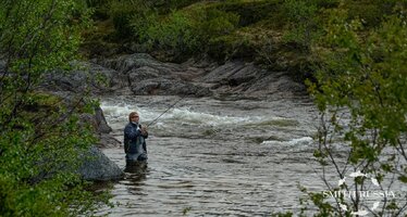 _DSC3371.jpg _DSC3371.jpg