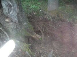 DSCF3297.JPG