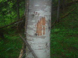 DSCF3295.JPG