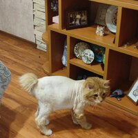 IMG_20260619_214235_038.jpg
