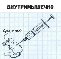 1781925323802.jpeg