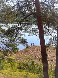 IMG_20260620_191941.jpg