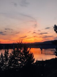 IMG_20260620_221132.jpg