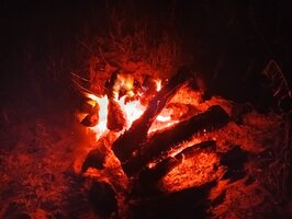 IMG_20260621_012159.jpg