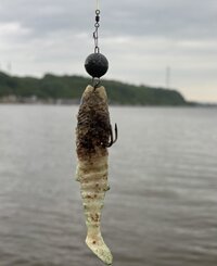IMG_5025.jpeg