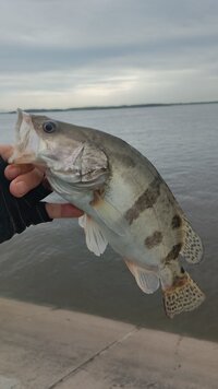 IMG_20260621_072943_010.jpg