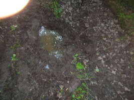 DSCF3310.JPG