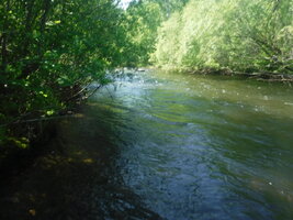 DSCF3316.JPG