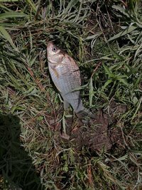 IMG_20260622_133508.jpg
