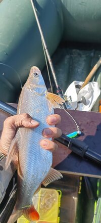 IMG_20260622_163829.jpg
