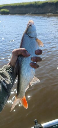 IMG_20260622_163824.jpg