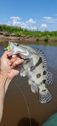 IMG_20260622_143730.jpg