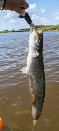 IMG_20260622_152746.jpg