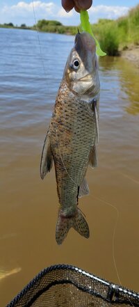 IMG_20260622_141932.jpg