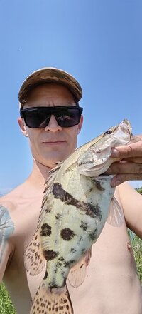 IMG_20260622_120215.jpg