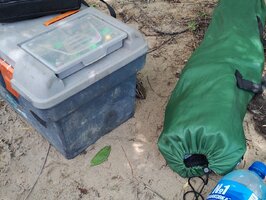IMG_20260621_123658.jpg