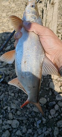 IMG_20260622_090630.jpg