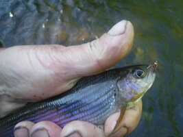 DSCF3336.JPG