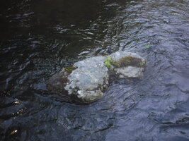 DSCF3338.JPG