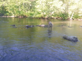 DSCF3339.JPG