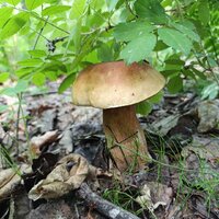 IMG_20260621_162818.jpg
