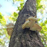 IMG_20260621_161753.jpg