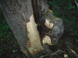 DSCF3326.JPG