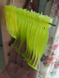 IMG_20260625_084606199.jpg