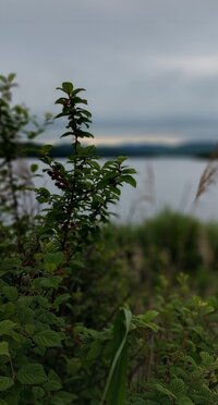 20260613_073250.jpg