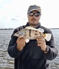 IMG_20260625_201030_917@51542086.jpg